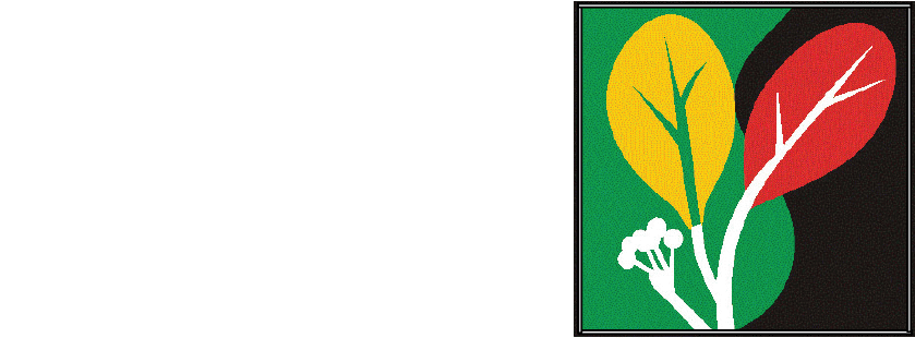 سنا الاندلس