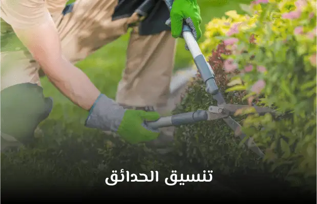 شركات تنسيق حدائق