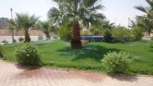 WhatsApp Image 2018-07-15 at 4.03.38 PM (1)