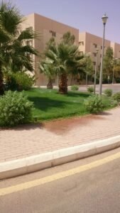 WhatsApp Image 2018-07-15 at 4.03.38 PM