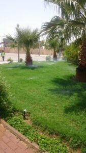 WhatsApp Image 2018-07-15 at 4.03.39 PM (1)