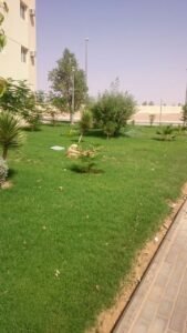 مساحة خضراء تحتوي على نباتات وشجيرات في منطقة سكنية.