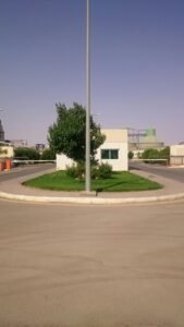 حديقة مركزية بتنسيق جميل تحتوي على أشجار ونباتات لتجميل المساحات الخضراء.