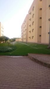 حديقة خضراء جميلة مع نظام ري، مثالية لتنسيق الحدائق المنزلية في السعودية.