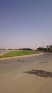 صورة لمنطقة خضراء بجوار الطريق مع أشجار النخيل وأضواء الشارع، تسلط الضوء على تنسيق الحدائق.