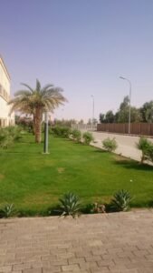 منظر لحديقة تحتوي على أشجار النخيل ونباتات زاهية بجانب طريق.