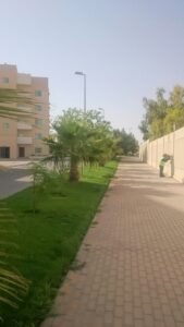 مساحة خضراء مع نباتات ونمط حضري، مثالي لتنسيق الحدائق