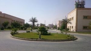 حديقة أنيقة مع نباتات خضراء وديكور حضاري، مثالية لتنسيق الحدائق المنزلية.