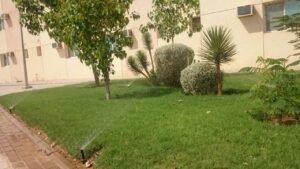 حديقة منزلية جميلة تحتوي على نباتات متنوعة ومكان ري ممتاز من سنا الأندلس