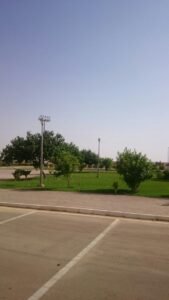 تنسيق حدائق منزلية مع مساحات خضراء وأشجار، مثالية لتصميم الحدائق.