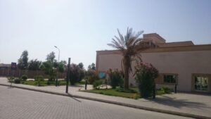 مشهد لحديقة منزلية تحتوي على نباتات متنوعة وجمالية مثالية لتنسيق الحدائق في السعودية.