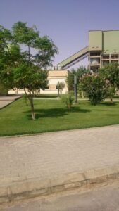 صورة لحديقة مع نباتات متنوعة ومسطحات خضراء، تعكس تصميم الحدائق من سنا الأندلس.