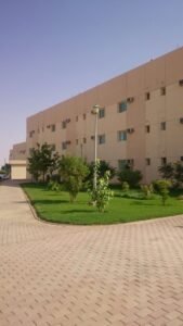 مساحة خضراء مميزة مع ديكور حجري لتنسيق الحدائق في سنا الأندلس