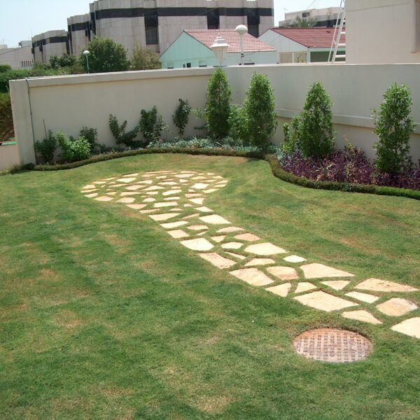 مسار حجري متعرج في حديقة مع نباتات خضراء وأشجار صغيرة.