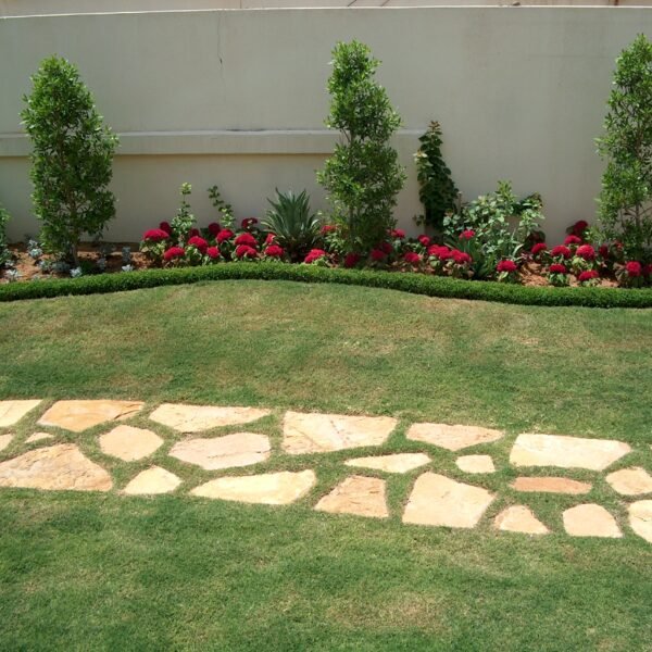 حديقة تحتوي على ممر حجري وأشجار ونباتات مزهرة بألوان متنوعة.