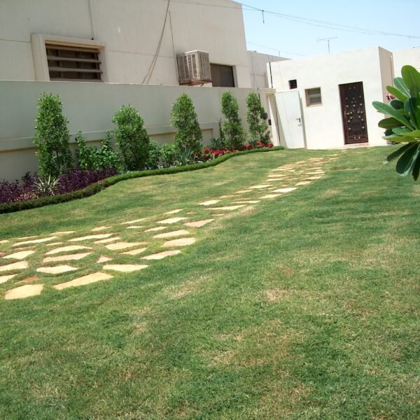 ممرات حجرية تؤدي عبر حديقة ذات عشب أخضر وأشجار صغيرة.