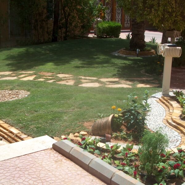 تصميم حديقة منزلية مع مسارات حجرية وزهور ملونة ونباتات خضراء.