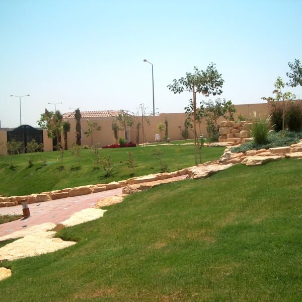 حديقة تحتوي على مسارات حجرية وأشجار صغيرة ومسطحات خضراء.