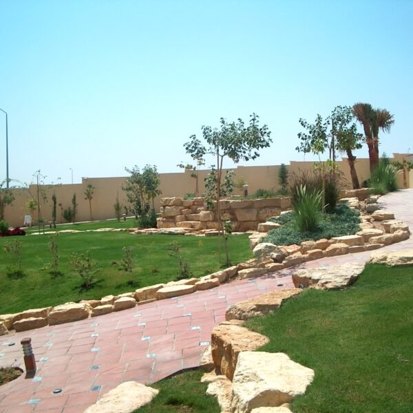 حديقة تحتوي على مسارات حجرية وأشجار ونباتات خضراء في بيئة خارجية.