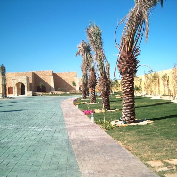 مسار مرصوف بأشجار النخيل على جانبيه مع حديقة خضراء في الخلفية.