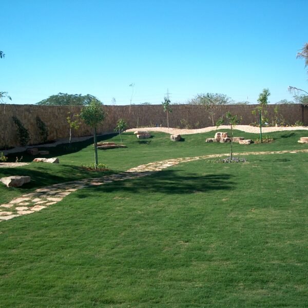 حديقة تحتوي على مسارات حجرية ونباتات خضراء مع جدران حجرية في الخلفية.