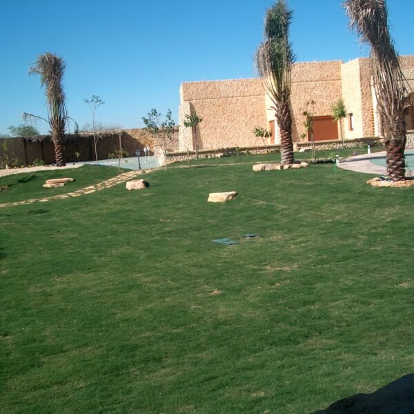 حديقة خضراء تحتوي على أشجار ونباتات مع منزل من الحجر في الخلفية.