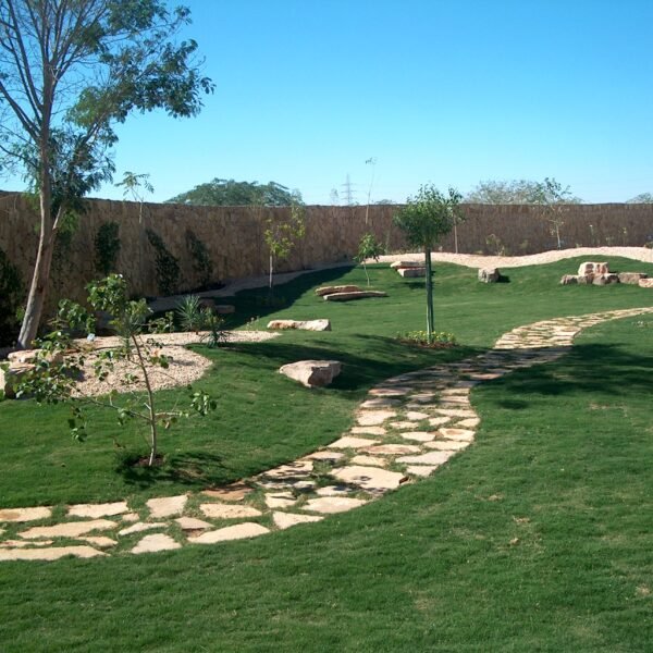 حديقة تحتوي على ممرات حجرية وأشجار خضراء مع مساحات من العشب.