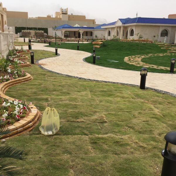 حديقة تحتوي على مسارات متعرجة وزهور ملونة مع إضاءة خارجية.