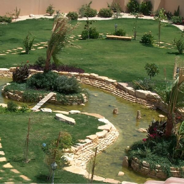 حديقة تحتوي على بركة مائية تتوسط المساحات الخضراء، مع مسارات من الحجر والنباتات.