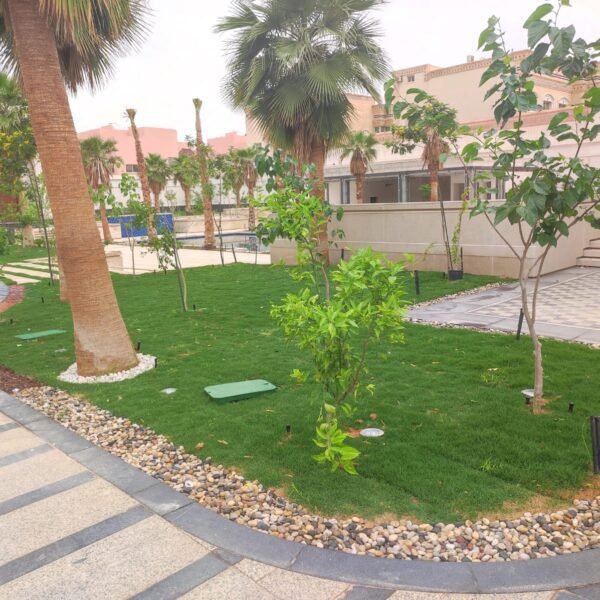 مساحة خضراء تحتوي على أشجار صغيرة ونباتات مزروعة بشكل منظم في حديقة.