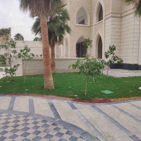 مساحة خضراء تحتوي على أشجار ونباتات صغيرة مع أرضية مرصوفة.