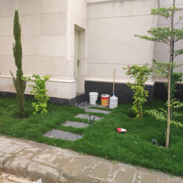 منطقة تحتوي على نباتات متنوعة وأشجار صغيرة مع عشب أخضر في حديقة.